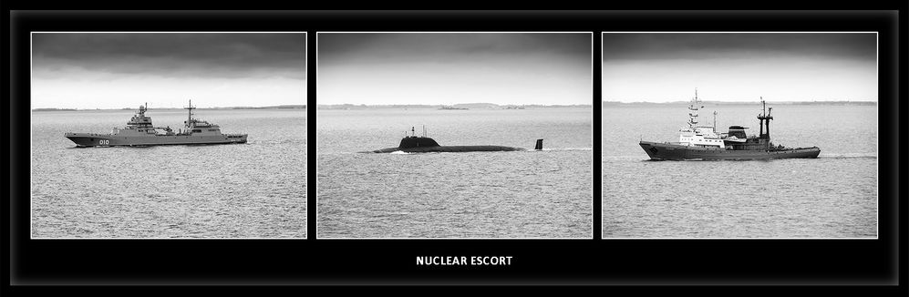Nuclear Escort